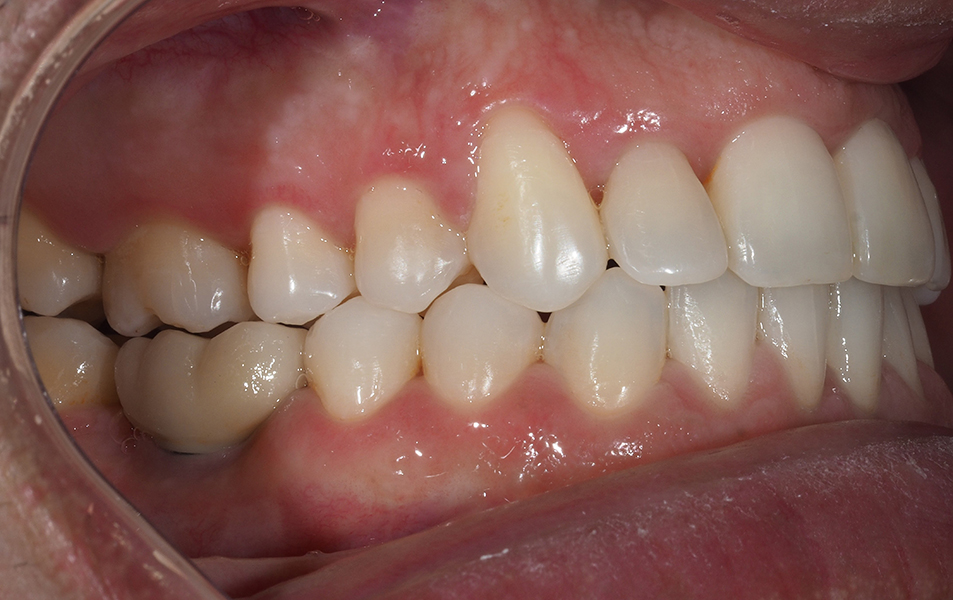 soludental soludental